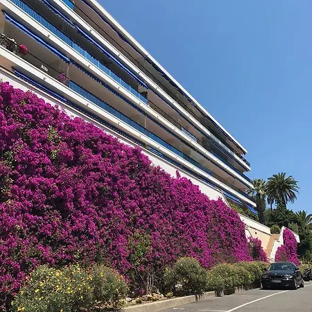 Best Studio With Terace Garden Menton
